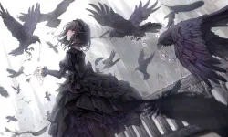 Featured image of post 网络