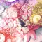 如何优雅的看番